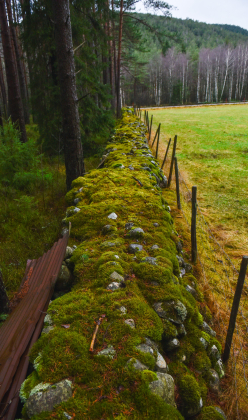 Langemyr, Stean, Hornnes, steingjerde