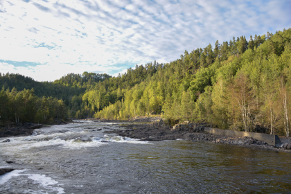 Moltekjerret, Iveland, flotingsskjerm
