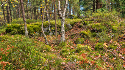 H&oslash;y&aring;sen under R&oslash;nninga. Husmannsplass.