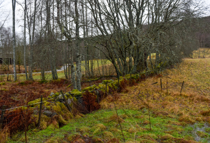 Moseid, Hornnes, steingjerde