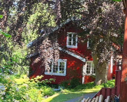 Kystveien 657 p&aring; Saltr&oslash;d