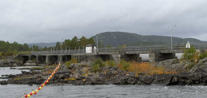 Nelaug dam, &Aring;mli