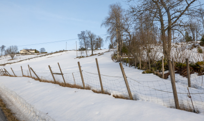 Nordb&oslash;, Flatebygd, Evje, steingjerde