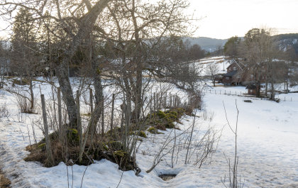 Nordb&oslash;/Fl&aring;t, Flatebygd, Evje, steingjerde