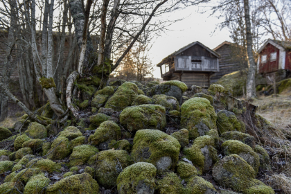 Nordigard, Tveiti, Valle, rydningsr&oslash;ys