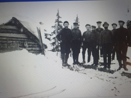 Nordland. T&oslash;mmerhoggerkoie i Saltstutlia, Nordre Land