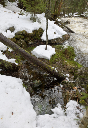Nord&aring;na, Grendi, Bygland, kverntuft