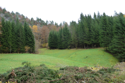 Dalane, Kongens grav (tradisjonslokalitet)