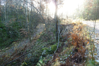 Sagevannet, rester av gammel vei