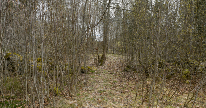 Evje prestegard, steingjerde