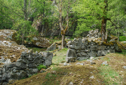 R&oslash;ynevarslia, Suldal