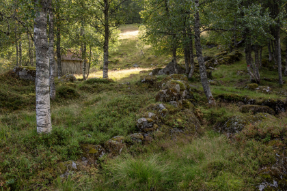 Salmeli, Fjotland, Kvinesdal, steingjerde