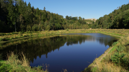 Ravn&aring;s, Fremste Lolandsdalen (skogsl&aring;tte)