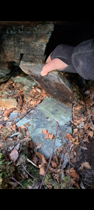 Fangstlokalitet, r&oslash;yskatt 