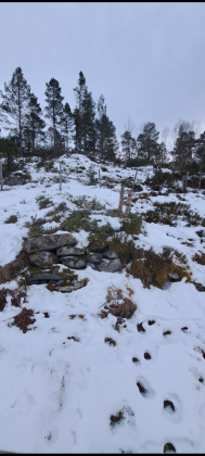 Natursteinsmur, tidligere sel