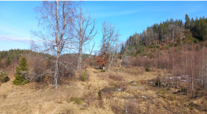 Her l&aring; g&aring;rden i flere hundre &aring;r.