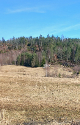 &Oslash;ygarden/Stobland.