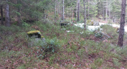 Veir&aring;sen/Risdalen.