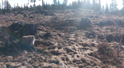 &Oslash;deg&aring;rden/Husmannsplassen Solem/Solheim.