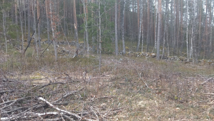 Olav Terjesens plass.