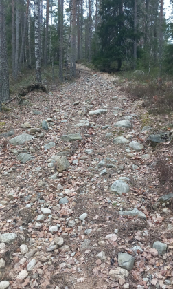 Sk&aring;tet ved Fjellmannsveien.