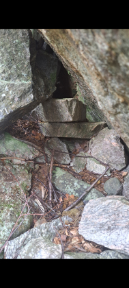 Fangstlokalitet,  R&oslash;yskatt 