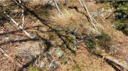 Vi ser kantstein p&aring; fjellmannsveien .