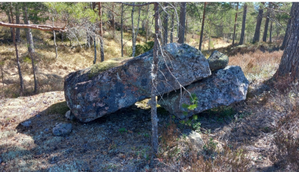 Artig stein i landskapet. 