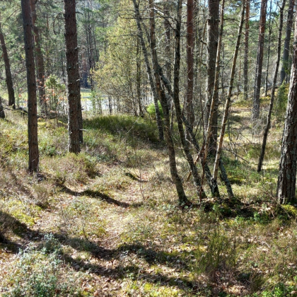 Bakken/J&oslash;rens plass/J&oslash;rgen Regeliens plass.