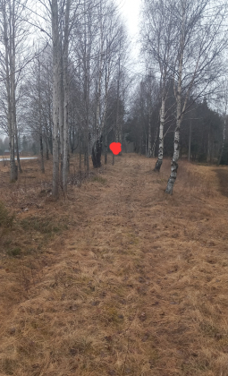 Andre plads V&aring;ningen/Bubakken/Simonstad skole.