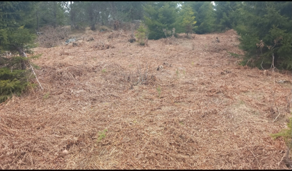 &Oslash;deg&aring;rden Stabbestad.