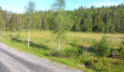 Hvileplass ved Eidgranskilen. 