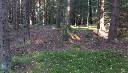 Kullbunn.