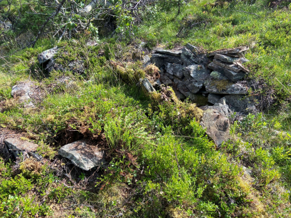 Ruiner etter ei hytte