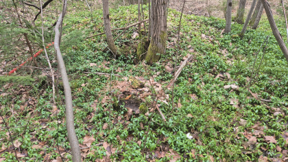 Taubanemast fundament 