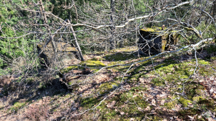 Fundament for nett over vei