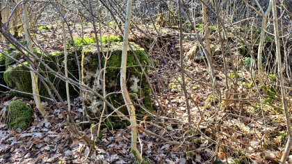 Taubanemast fundament 