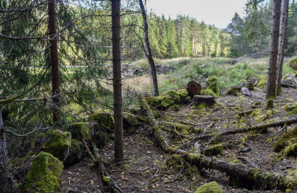 Stean, Kile, H&aelig;geland, steingjerde