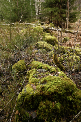 Stigemo, Skomedal, Bygland, steingjerde