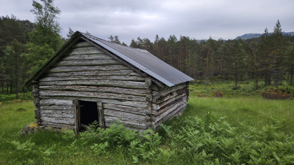 H&oslash;yl&oslash;a Stora Myro, Mokleiv, Suldal