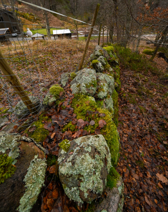 Syrtveit, Evje, steingjerde