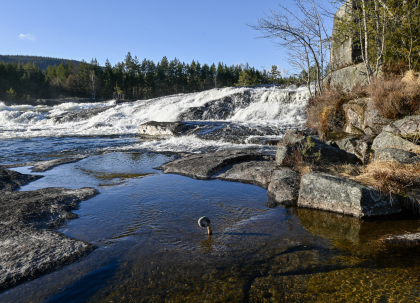 Syrtveitsfossen, Otra, Evje, jernbolt i fjell