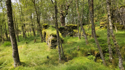 Treet 1, husmannsplass Helgaland