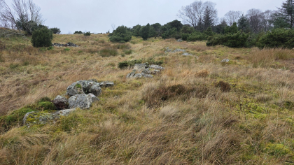 Tuft i utmark Tellnes