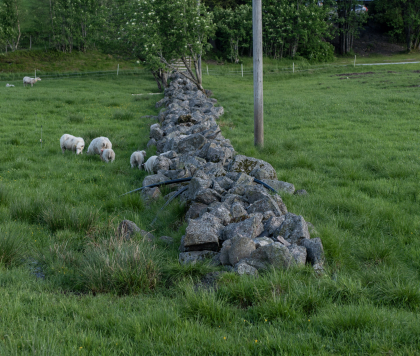 Tveit, Hornnes, steingjerde