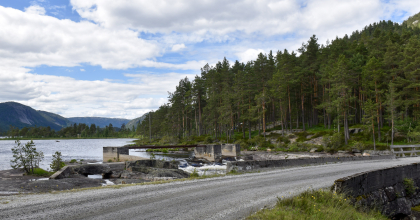 Tveitfossen, Tovdalselva, Tovdal, stem