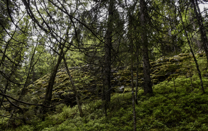 Langeid, Bygland, vegmur og fjellskjering