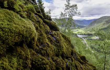 Langeid, Bygland, vegmur og fjellskjering