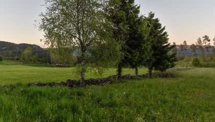 T&oslash;nnesland, Hornnes, steingjerde