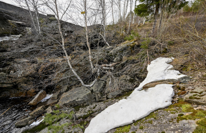 Vatne, Vegusdal, kverntuft